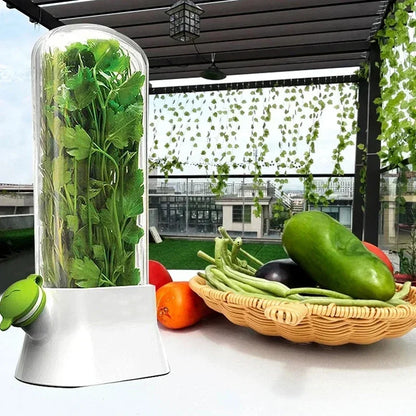 Fresh Herb and Vegetable Preservation: Herb Saver Storage Bottles for Refrigerator