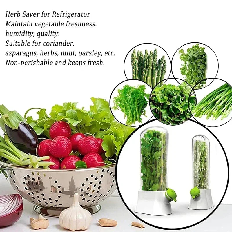 Fresh Herb and Vegetable Preservation: Herb Saver Storage Bottles for Refrigerator