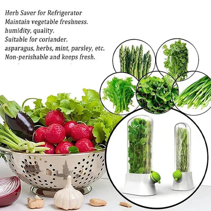 Fresh Herb and Vegetable Preservation: Herb Saver Storage Bottles for Refrigerator